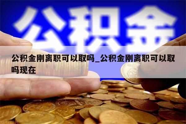 公积金刚离职可以取吗_公积金刚离职可以取吗现在